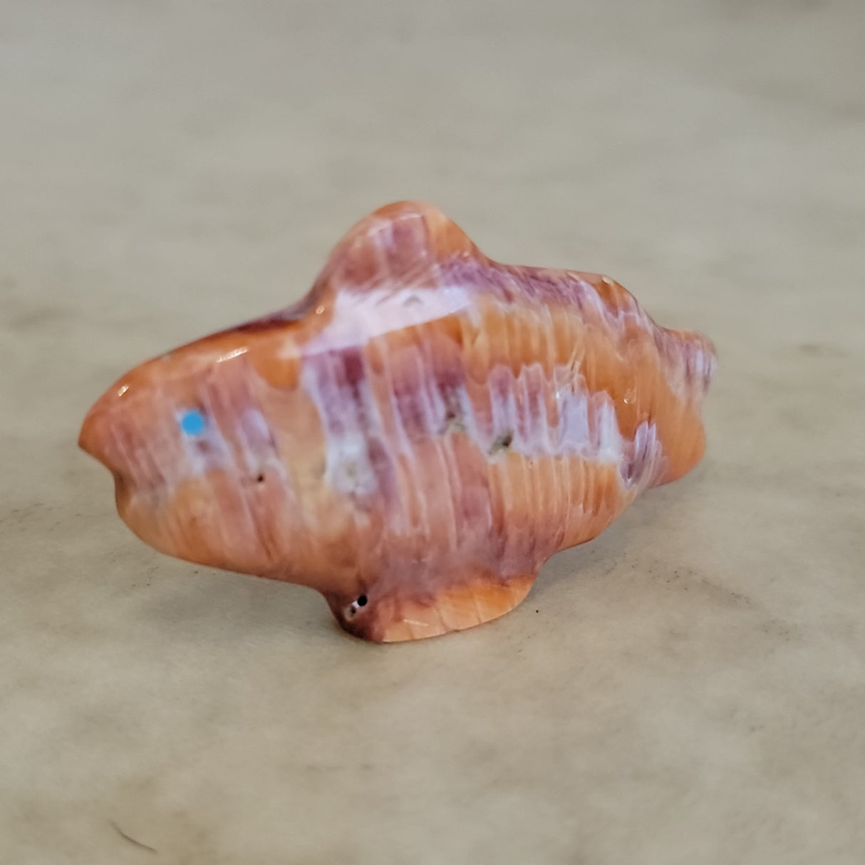 Orange Spiny Oyster Shell Fish Zuni Fetish