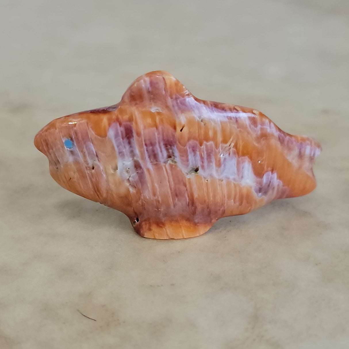 Orange Spiny Oyster Shell Fish Zuni Fetish