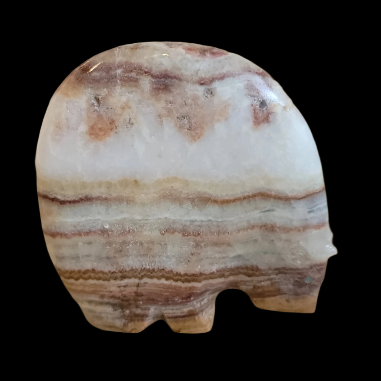 Classic Onyx Medicine Bear Zuni Fetish