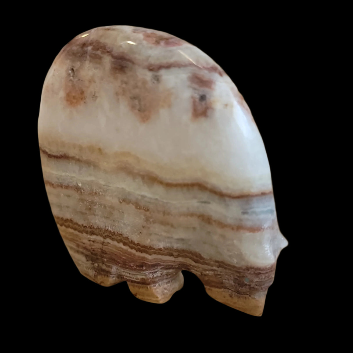 Classic Onyx Medicine Bear Zuni Fetish