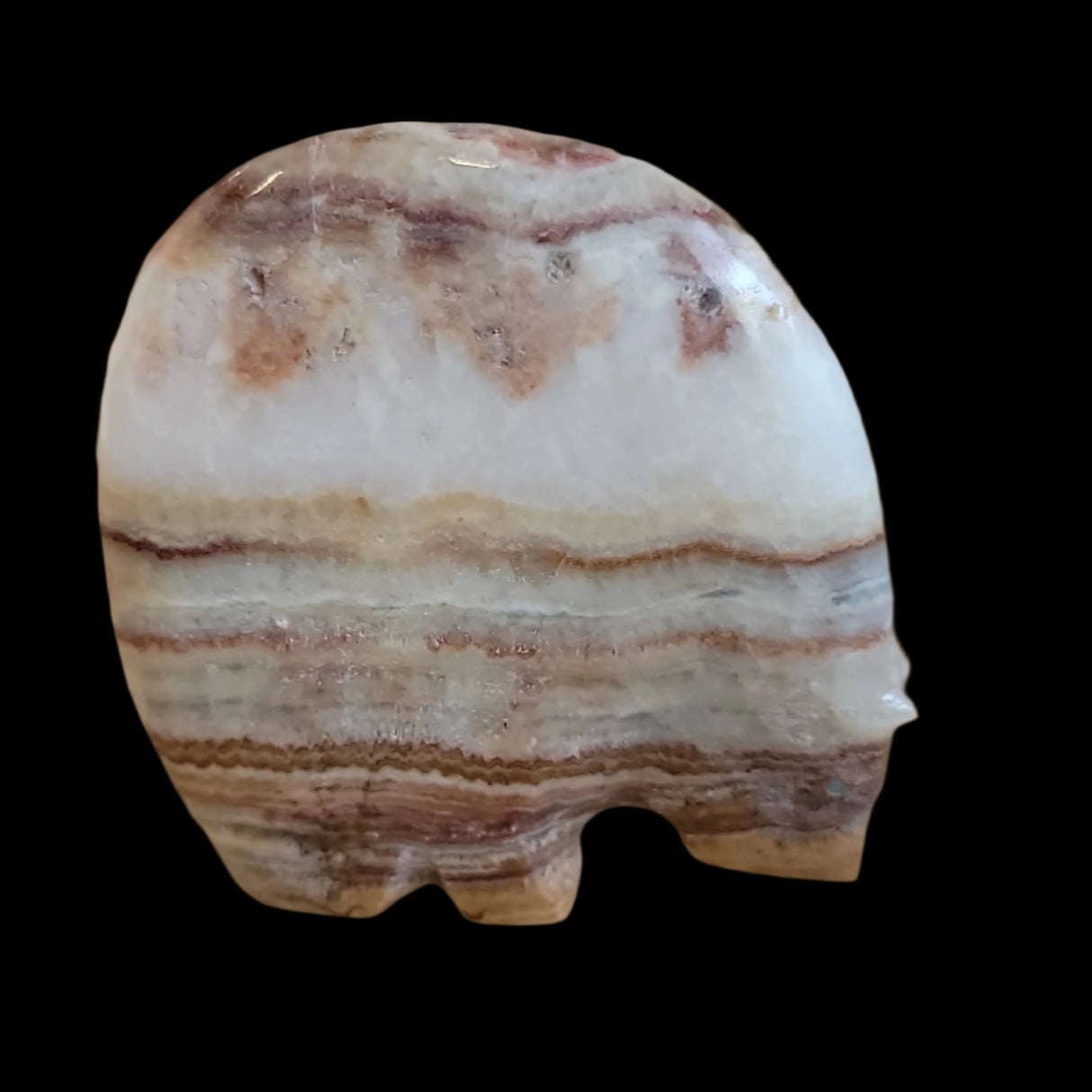 Classic Onyx Medicine Bear Zuni Fetish