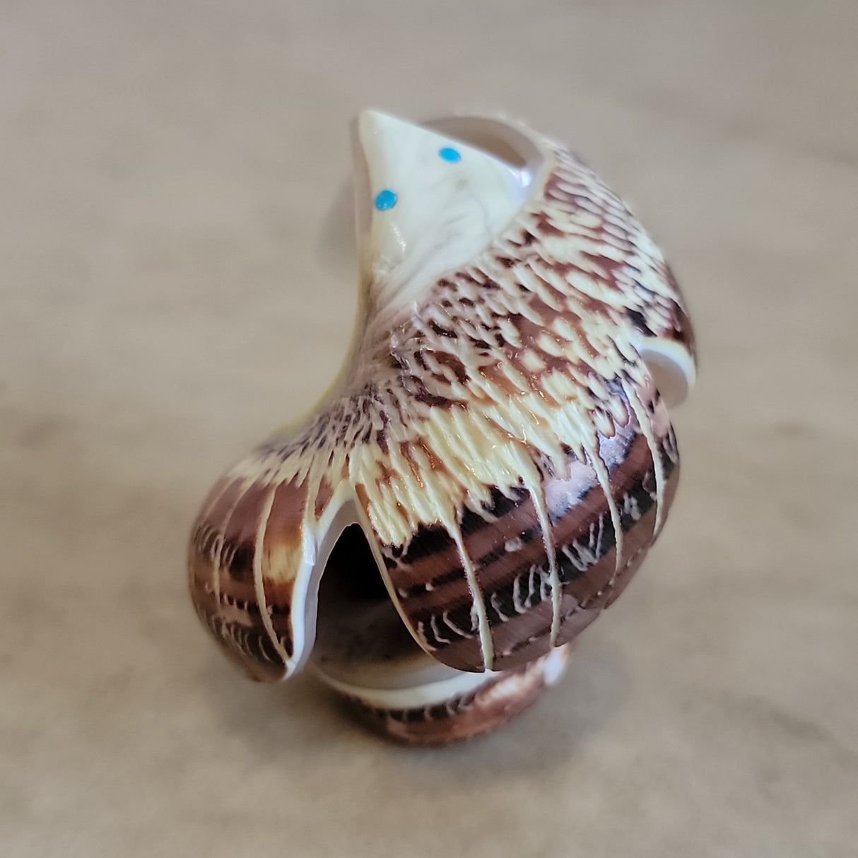 Snail Shell Eagle Zuni Fetish