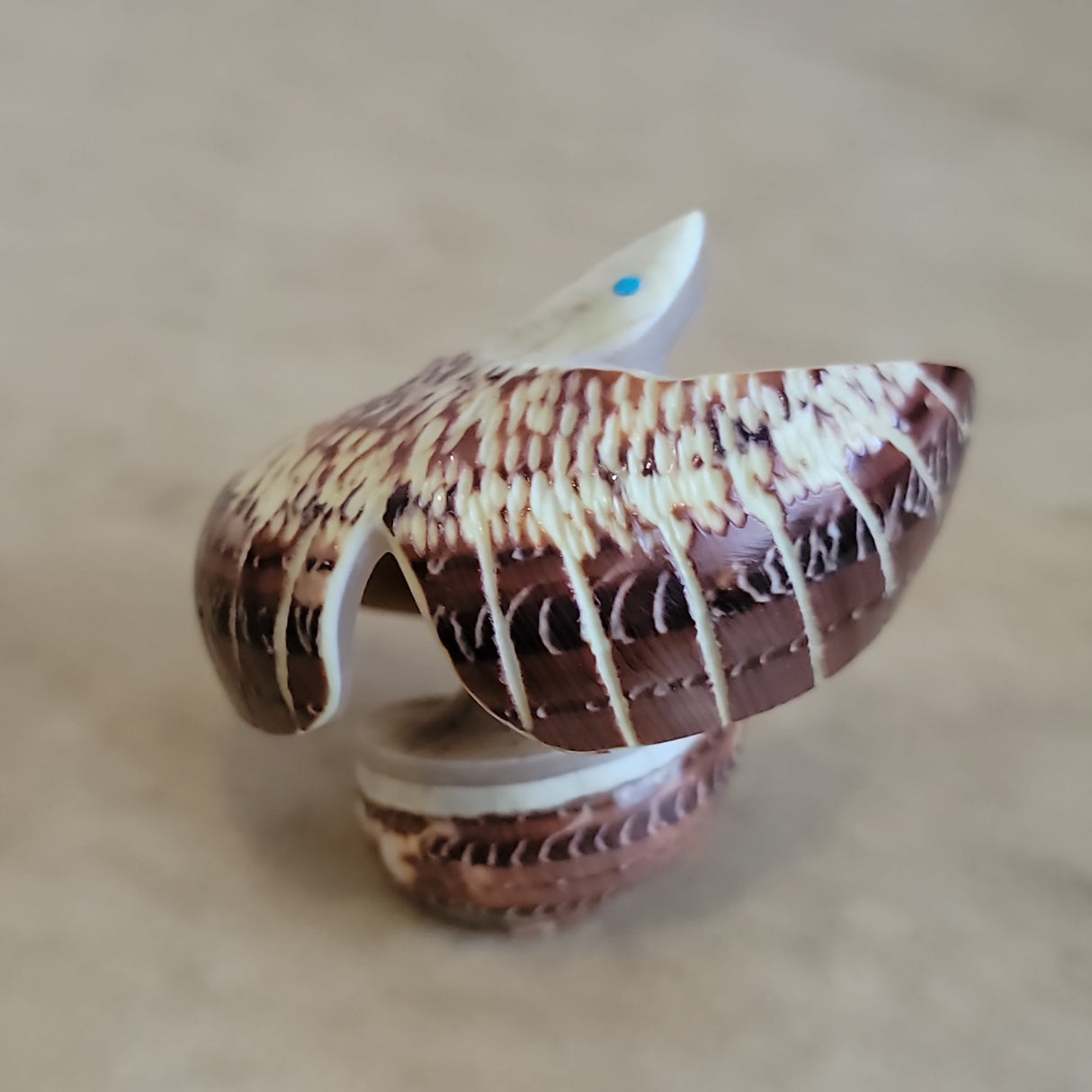 Snail Shell Eagle Zuni Fetish