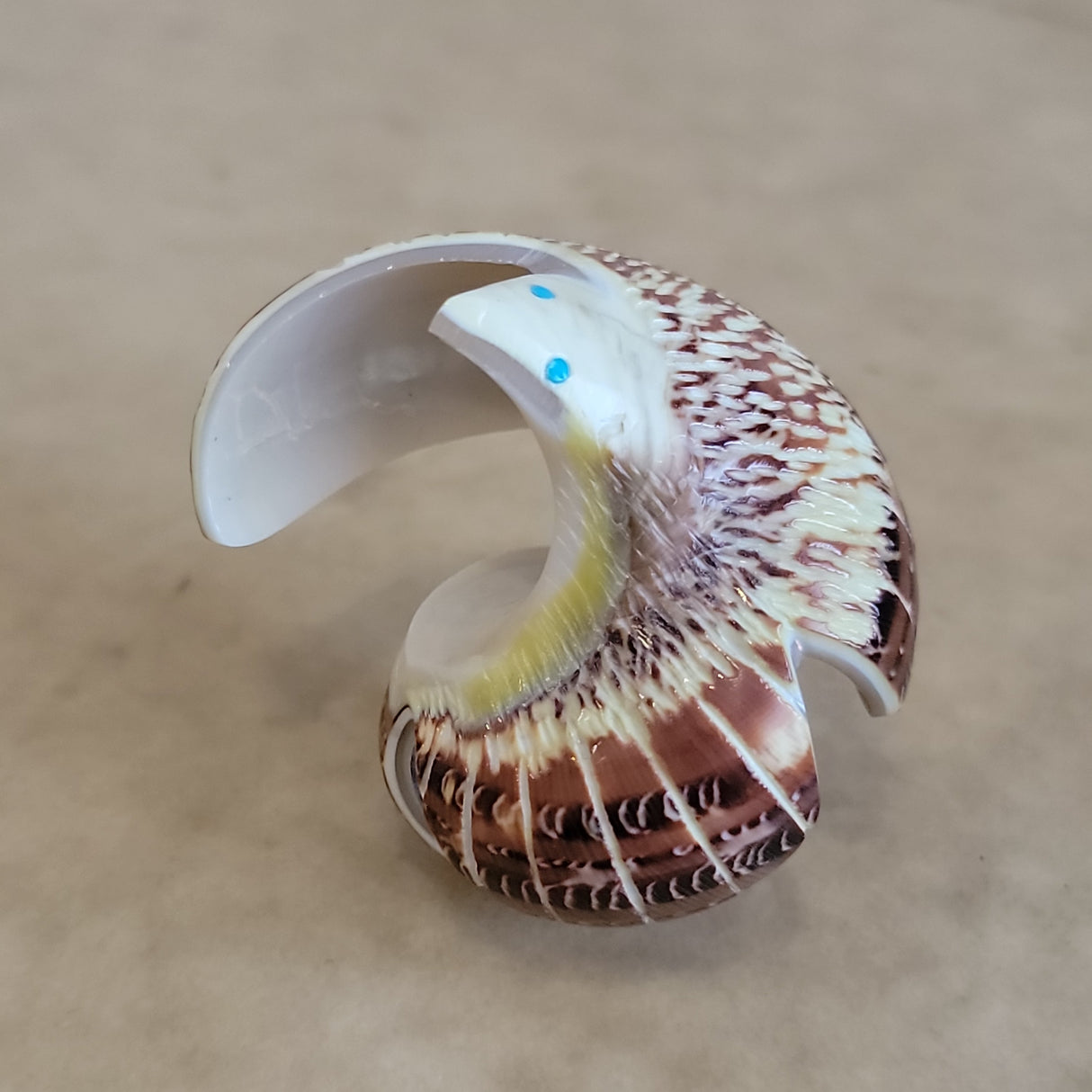 Snail Shell Eagle Zuni Fetish