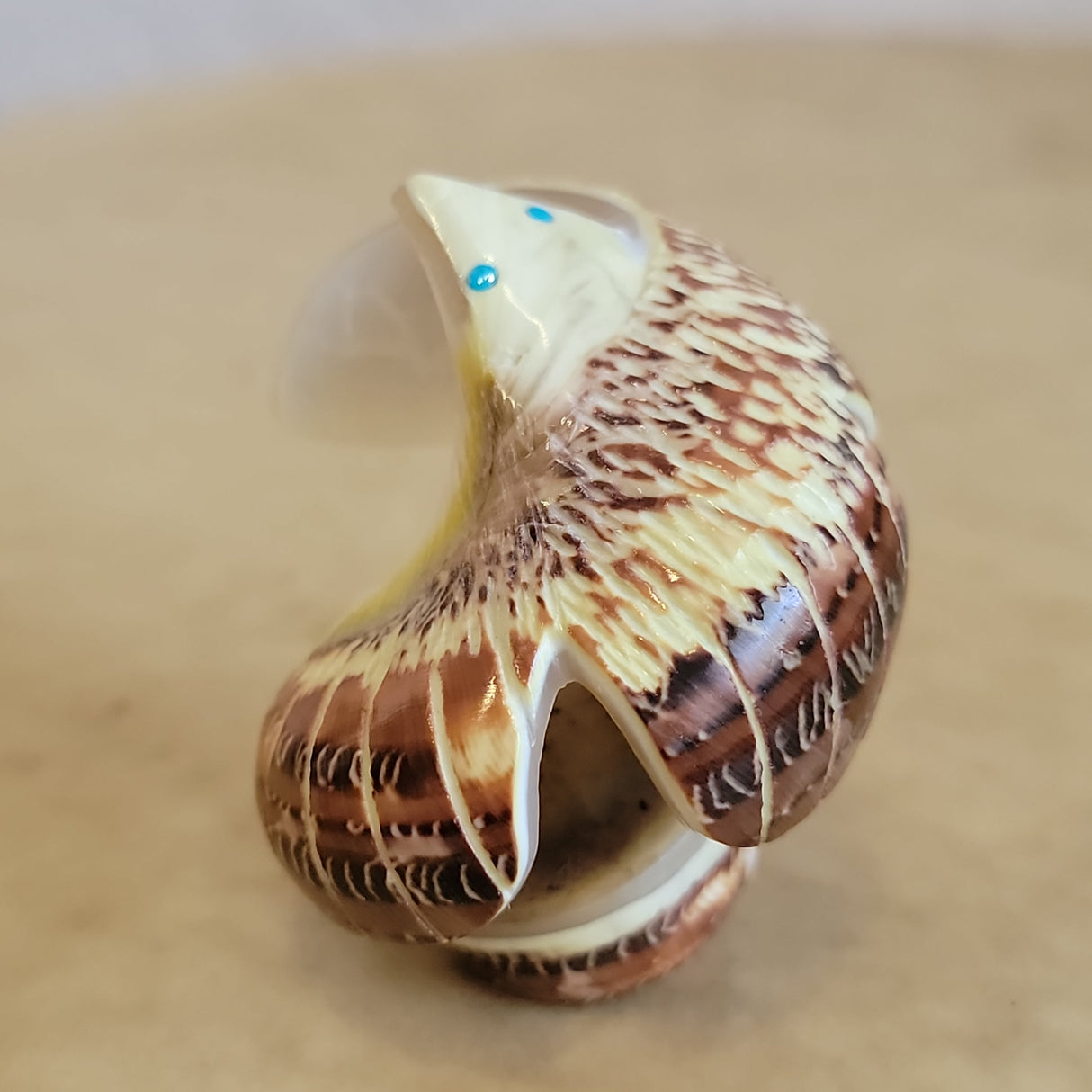 Snail Shell Eagle Zuni Fetish