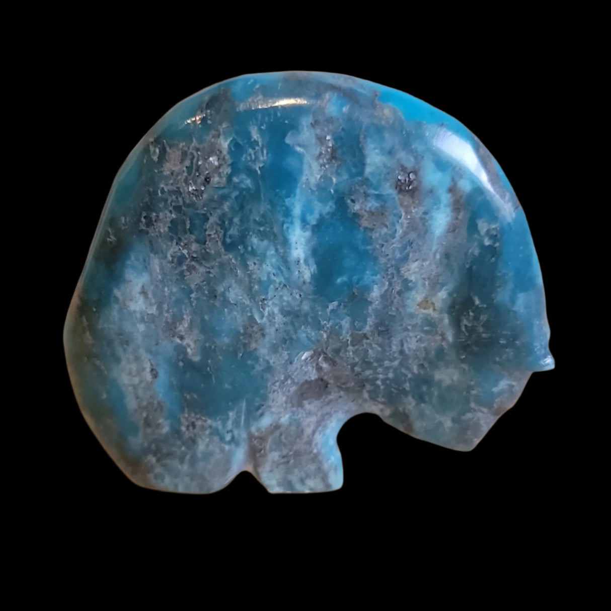 Chrysocolla Medicine Bear w/ Deep Red Coral Heartline Zuni Fetish