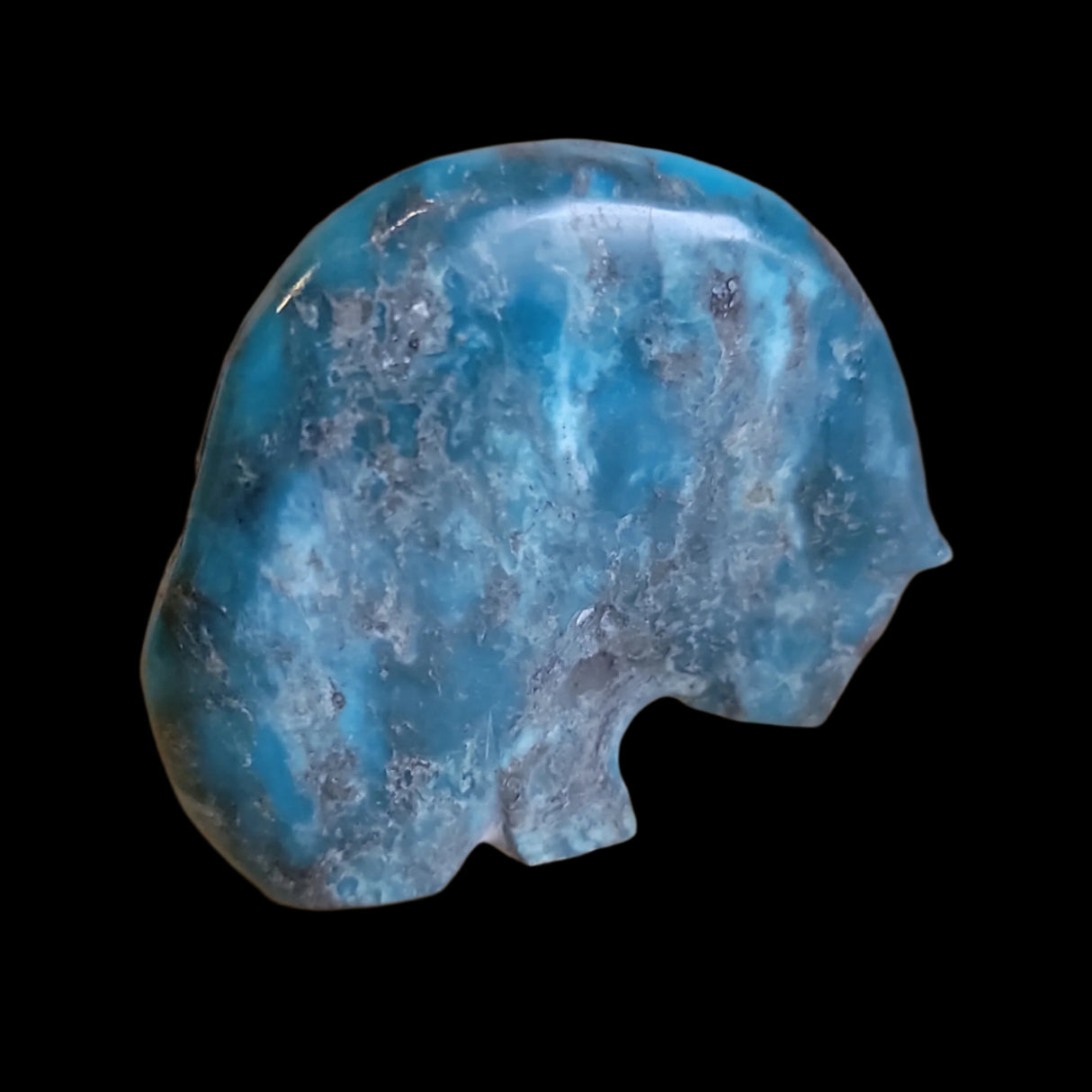 Chrysocolla Medicine Bear w/ Deep Red Coral Heartline Zuni Fetish