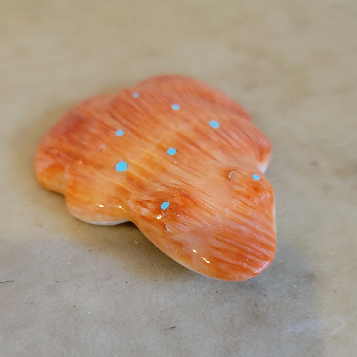 Large Orange Spiny Oyster Shell Fancy Frog Zuni Fetish