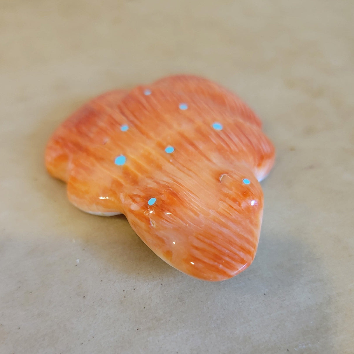 Large Orange Spiny Oyster Shell Fancy Frog Zuni Fetish