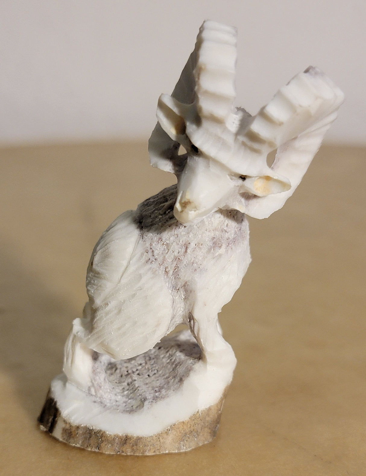 Antler Mountain Ram Zuni Fetish