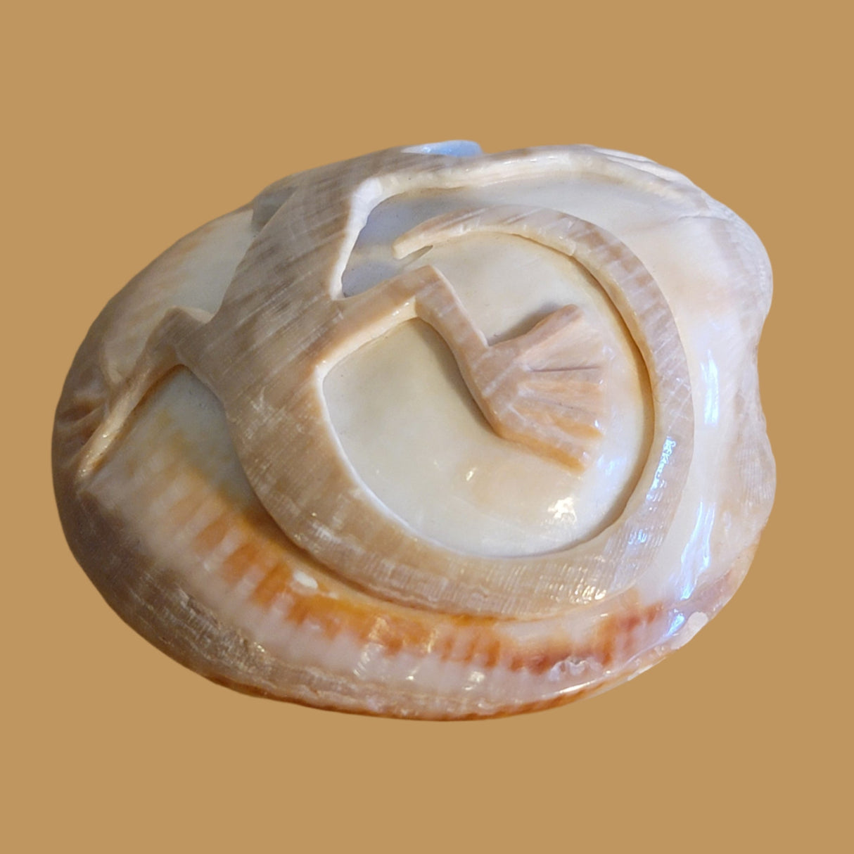 Petrified Spiny Oyster Shell Lizard Zuni Fetish