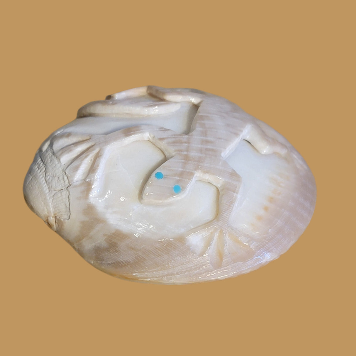 Petrified Spiny Oyster Shell Lizard Zuni Fetish