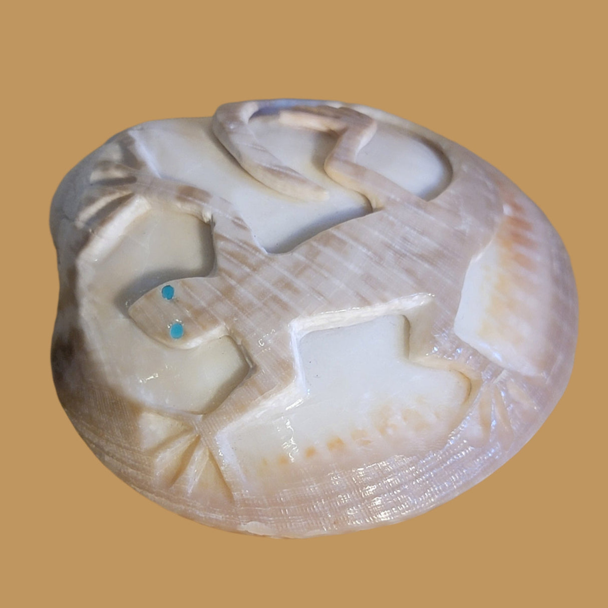 Petrified Spiny Oyster Shell Lizard Zuni Fetish