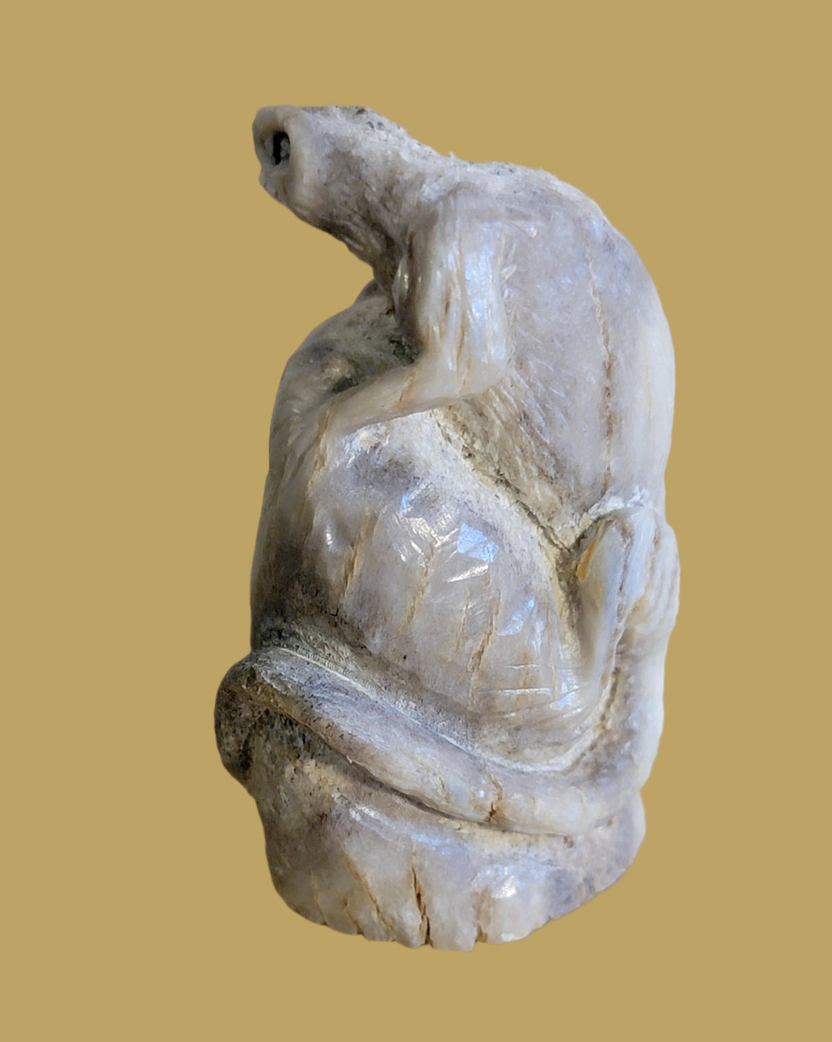 Antler Peering and Climbing Lizard Zuni Fetish