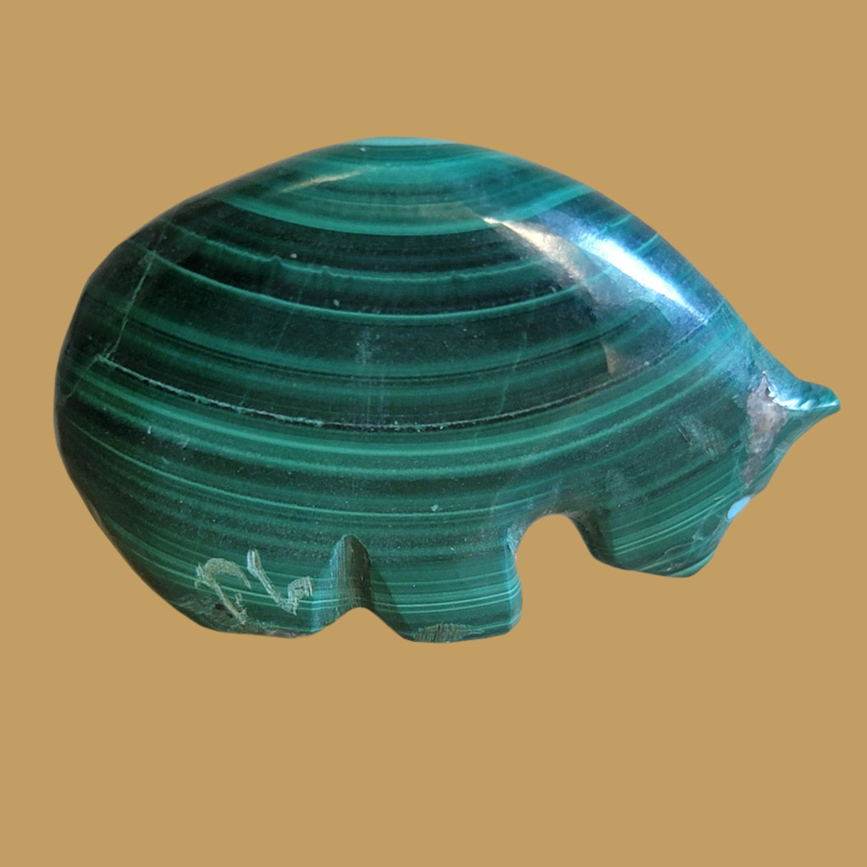 Malachite Medicine Bear Zuni Fetish
