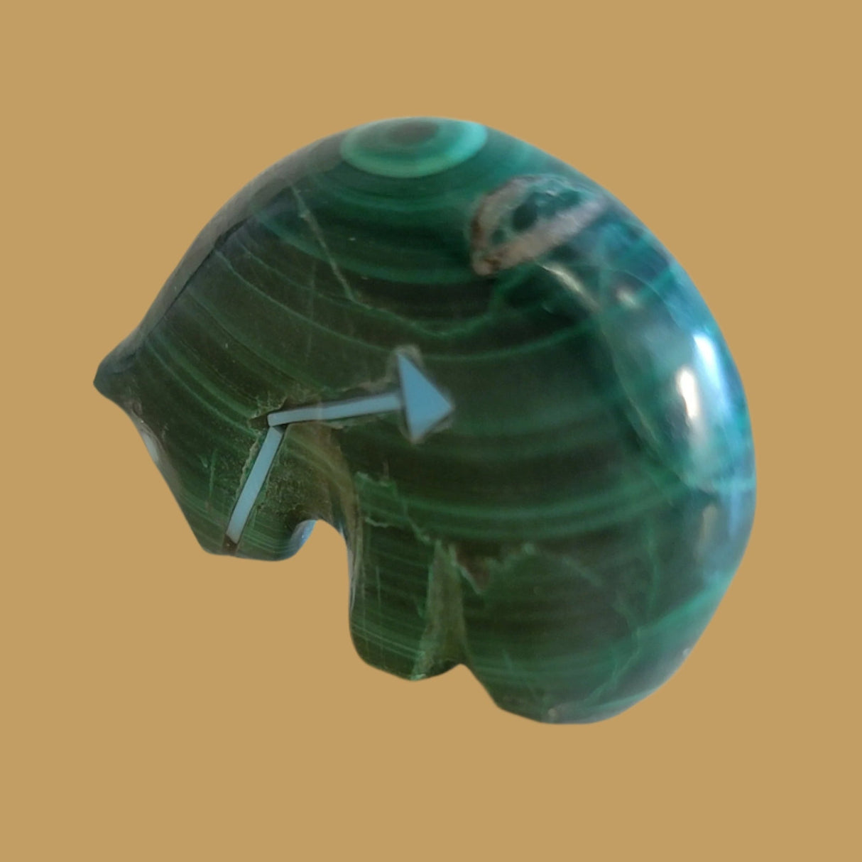 Malachite Medicine Bear Zuni Fetish