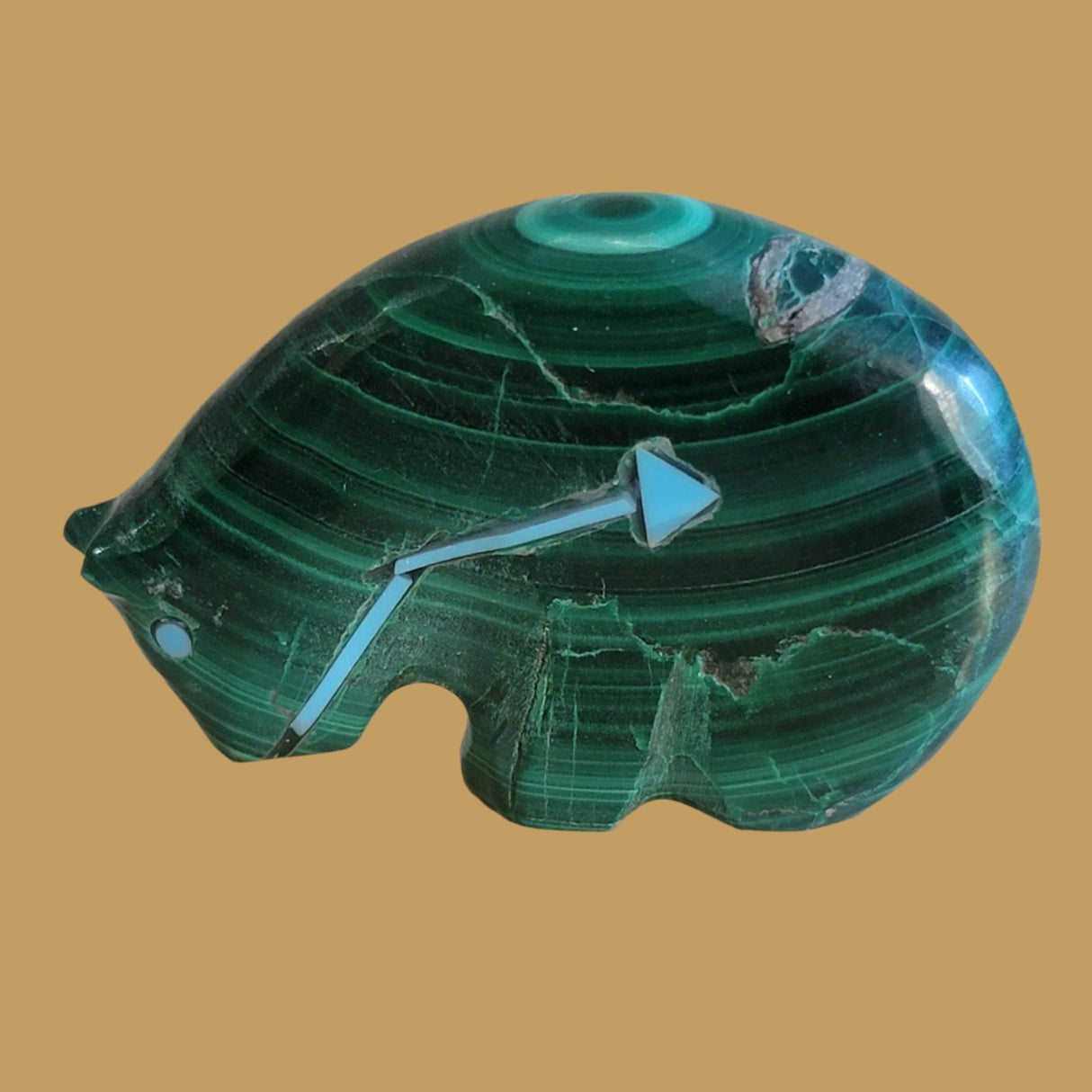 Malachite Medicine Bear Zuni Fetish