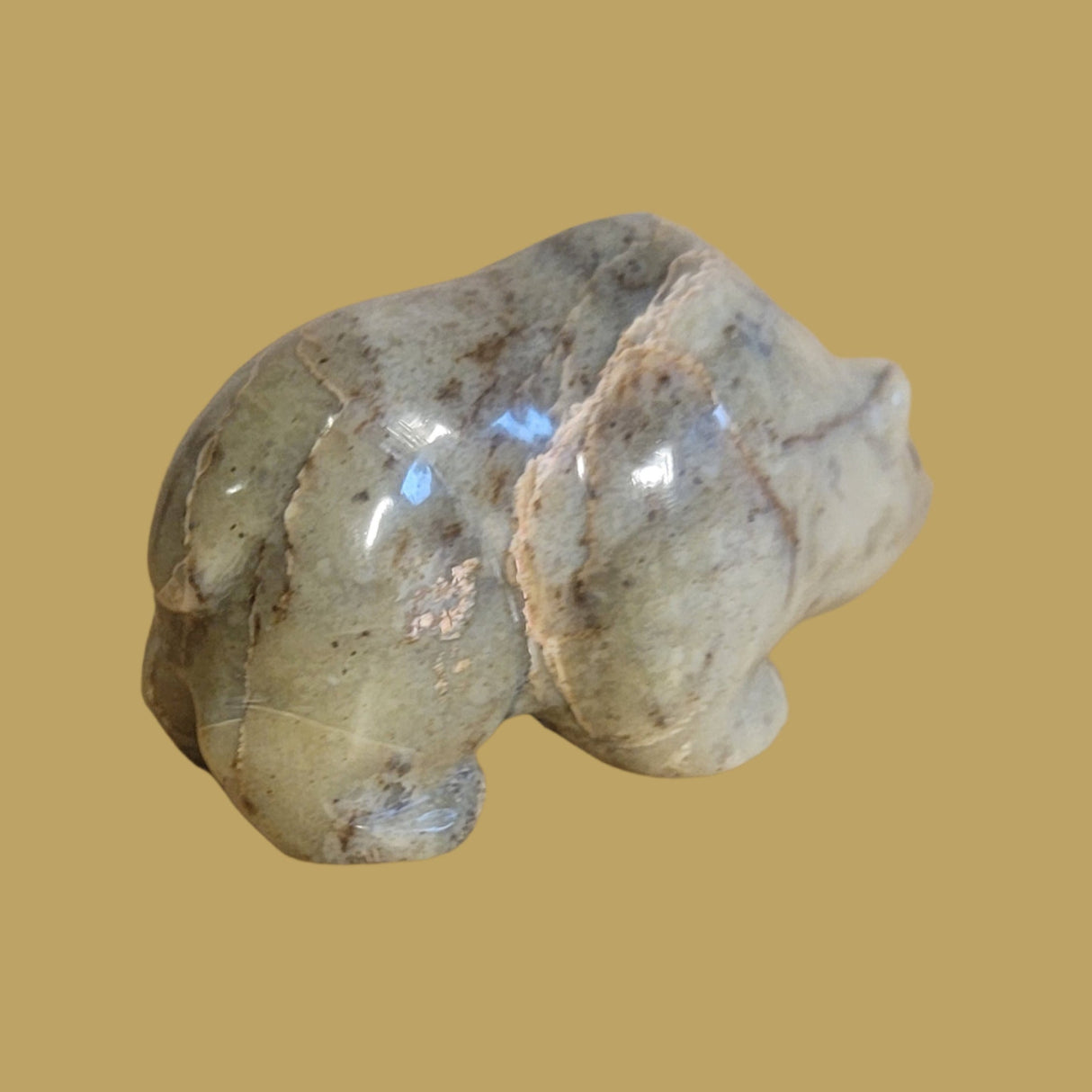 Navajo Serpentine Grizzly Bear Zuni Fetish