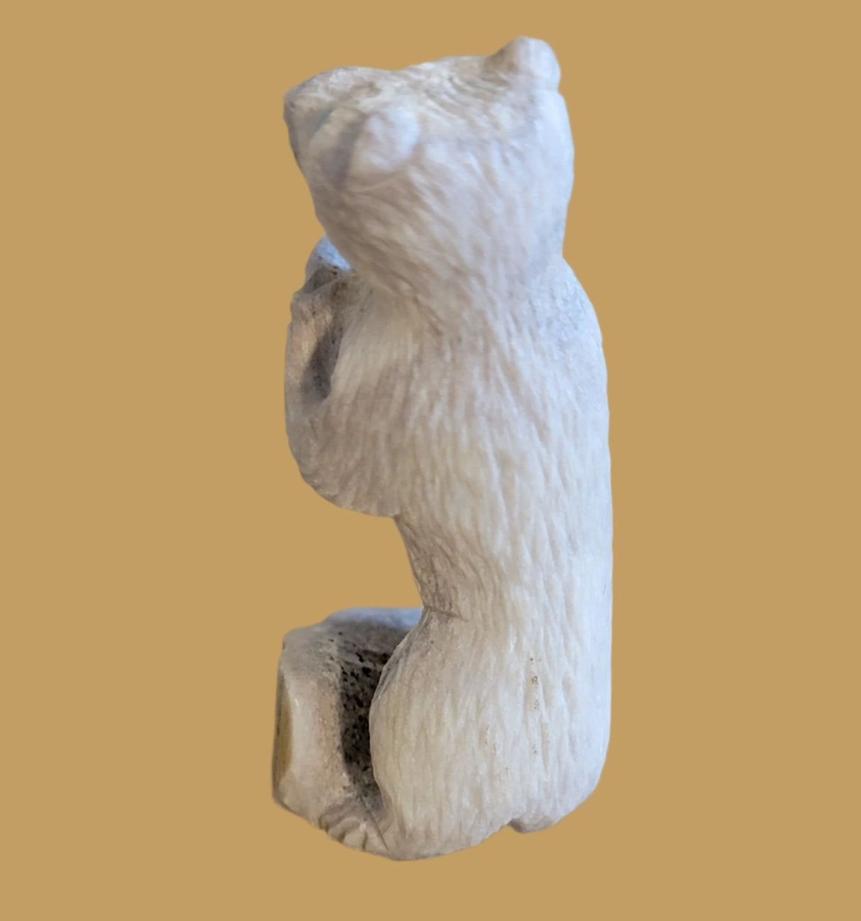 Antler "Honey Bear" w/ Honey Pot Zuni Fetish