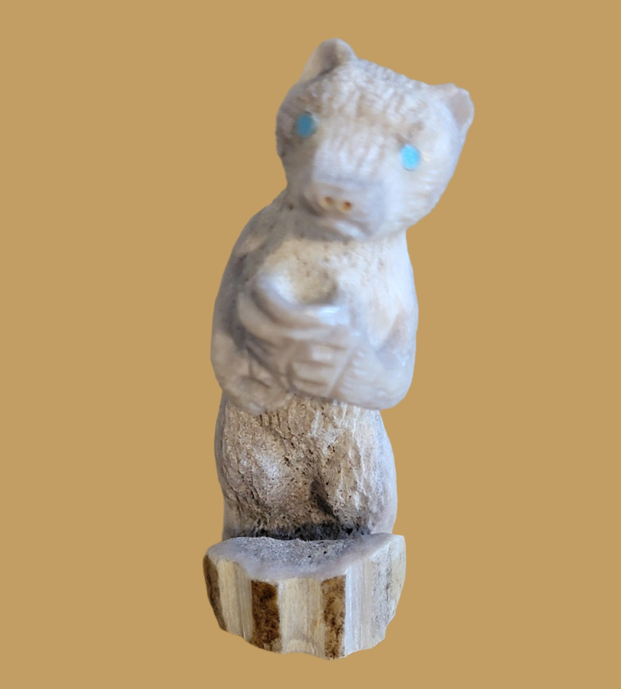 Antler "Honey Bear" w/ Honey Pot Zuni Fetish