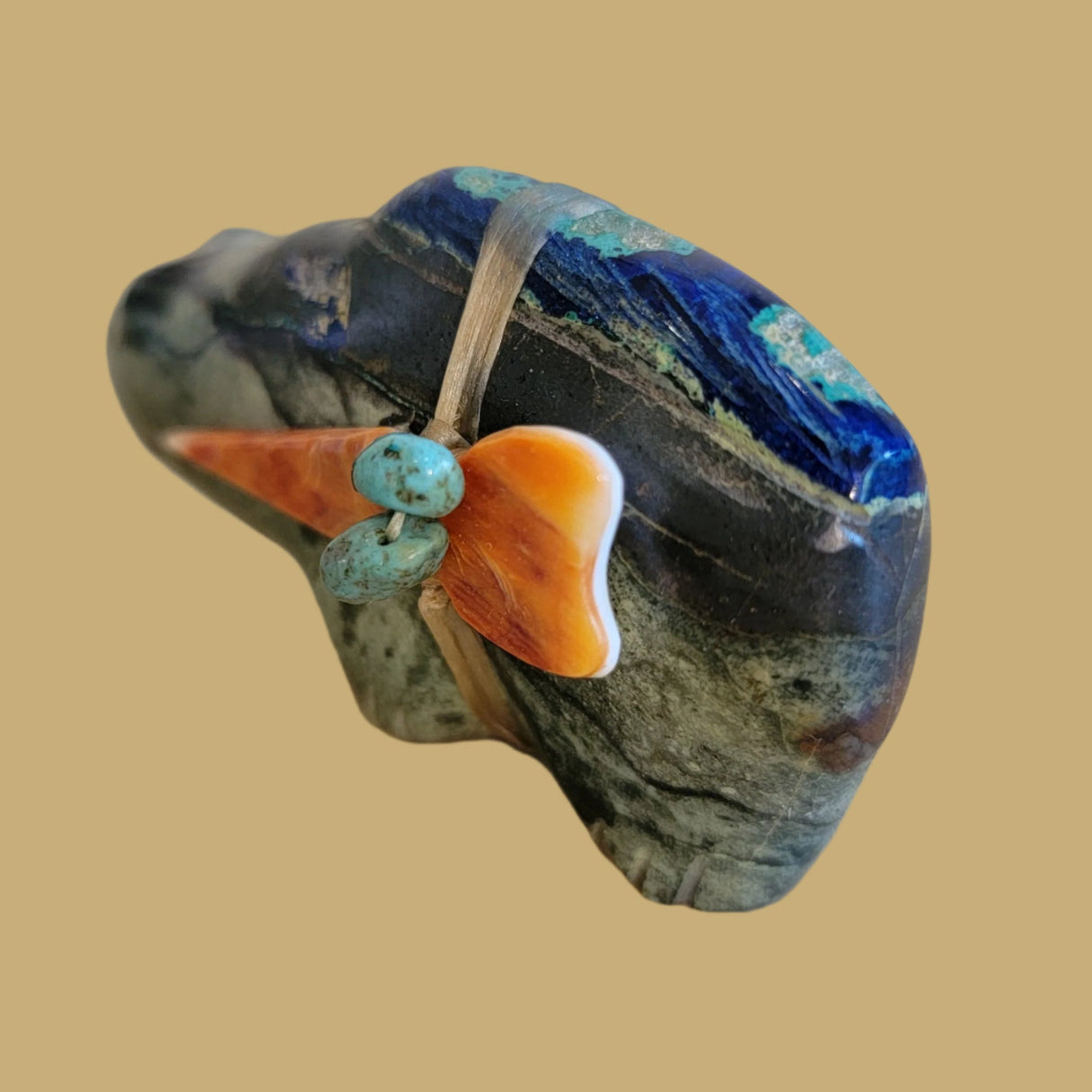 Mountain Lion w/Awesome Azurite Tail and Colorful Side Pack Zuni Fetish