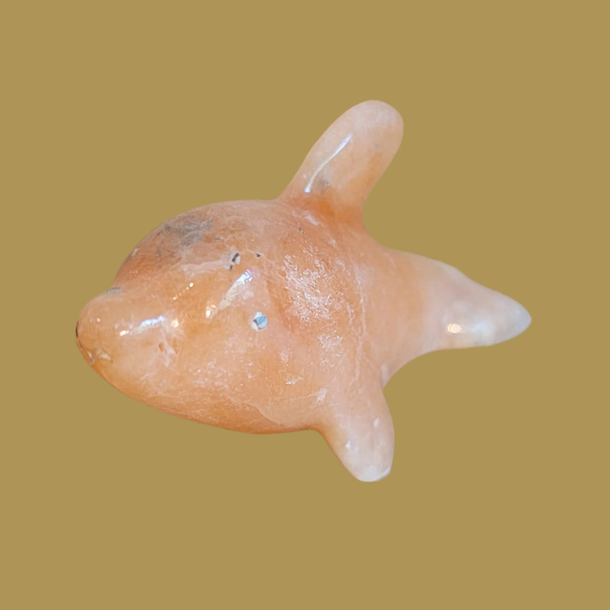 Orange Alabaster Dolphin w/ Silver Eyes Zuni Fetish