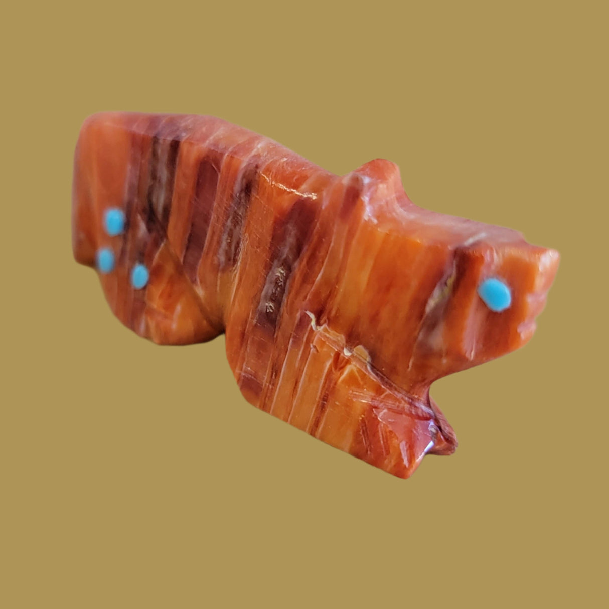 Spiny Oyster Shell Zuni Fetish Wolf