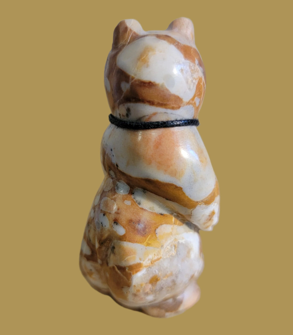 Tijillite Bear Snazzy Dude w/Sterling Silver Turquoise and Coral Bolo Tie Zuni Fetish