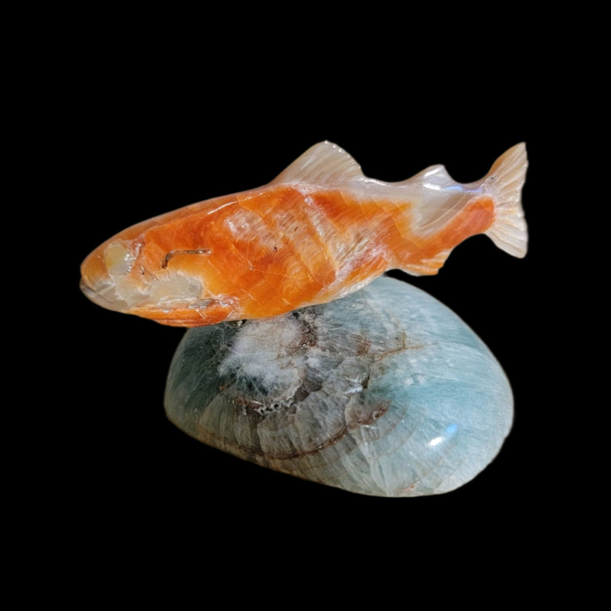 Elegant Gliding Abalone w/Fluorite Fish/Trout Zuni Fetish