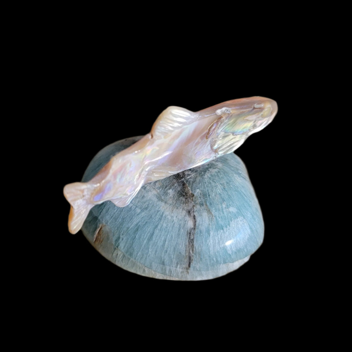 Elegant Gliding Abalone w/Fluorite Fish/Trout Zuni Fetish