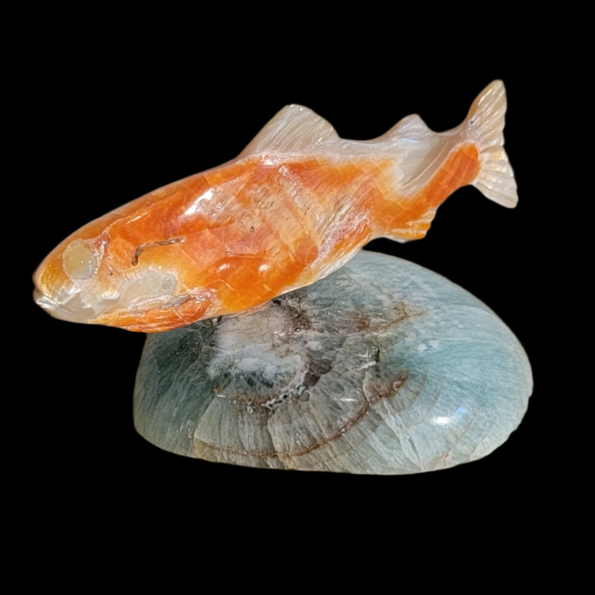 Elegant Gliding Abalone w/Fluorite Fish/Trout Zuni Fetish