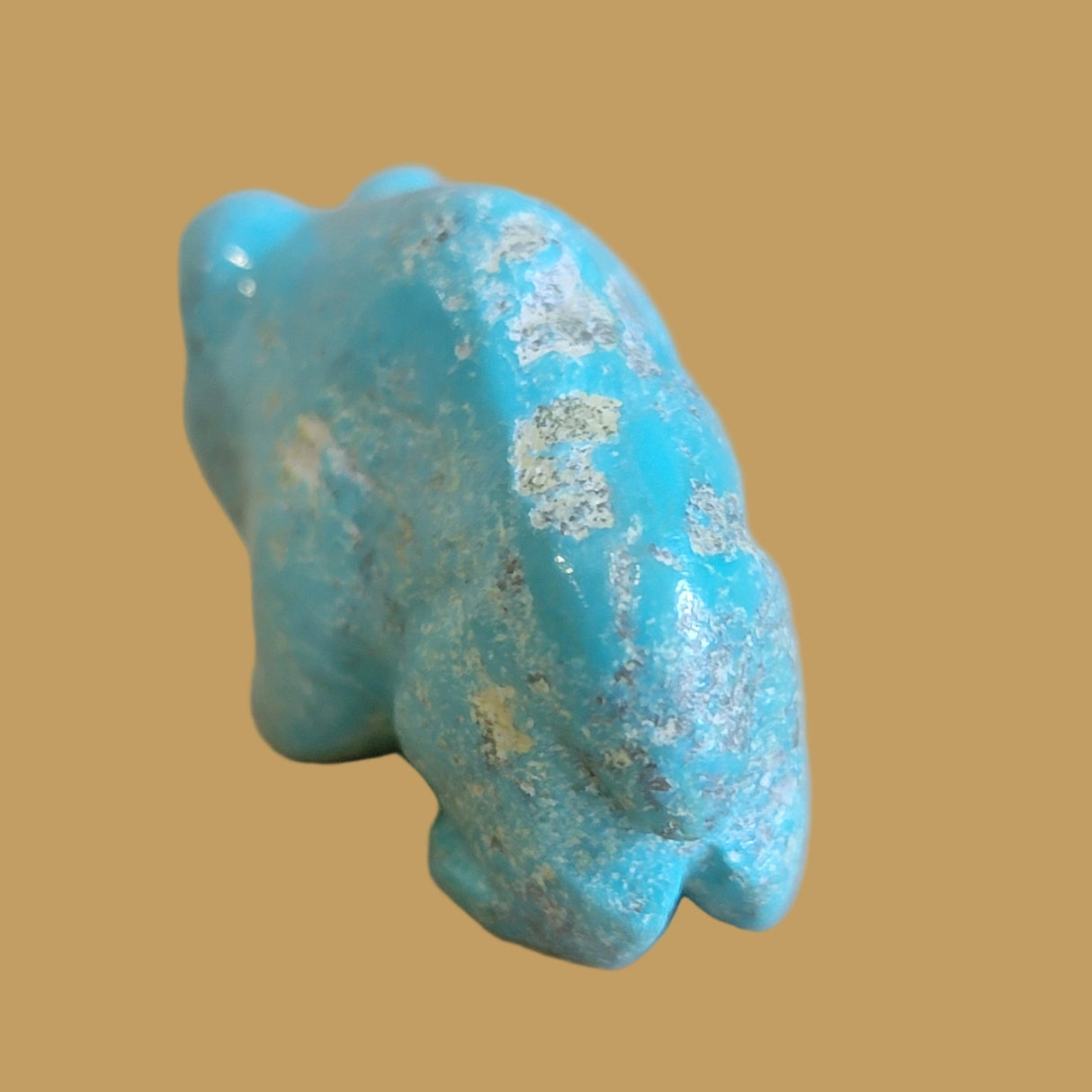 Natural Fox Turquoise Navajo Grizzly Bear Cub Zuni Fetish