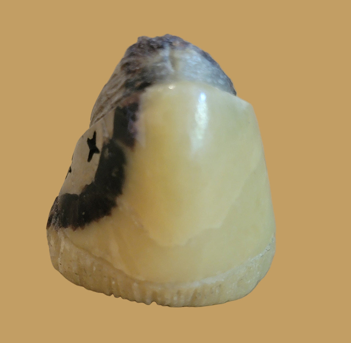 Beautiful Septarian Nodule Zuni Maiden Zuni Fetish