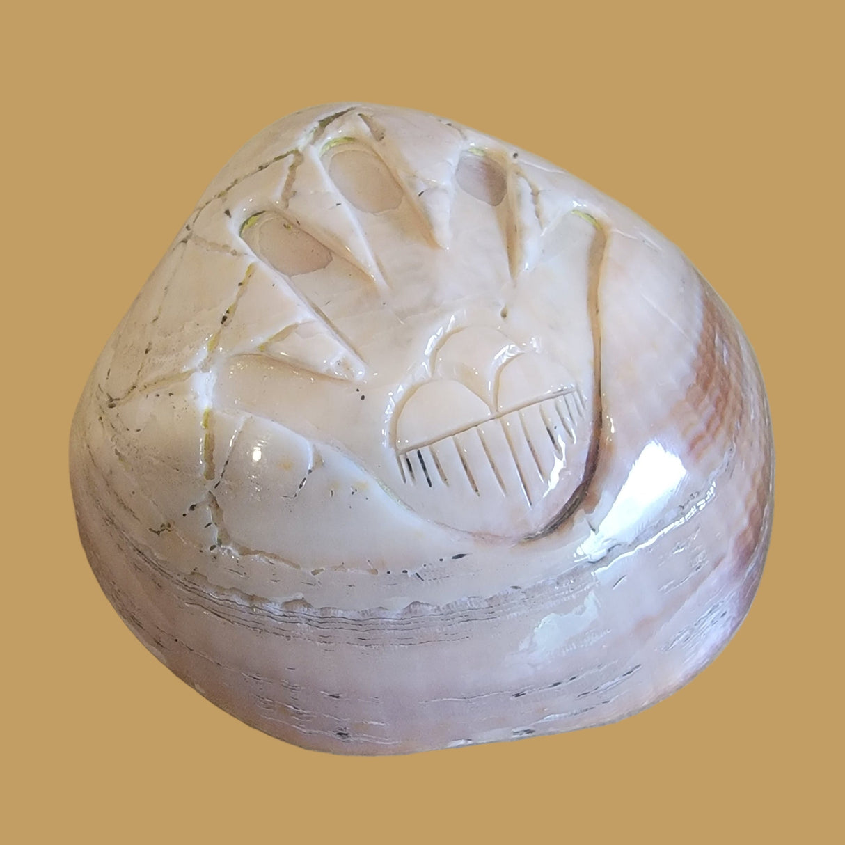 Fossilized Spiny Oyster Shell Hand w/Rainclouds