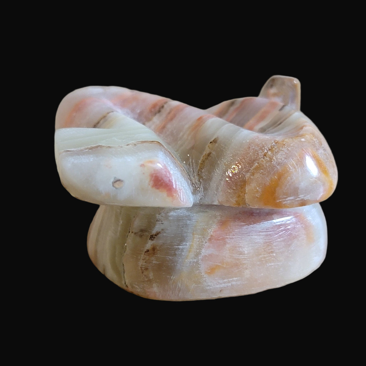 Coiled and Striking Onyx Snake Zuni Fetish