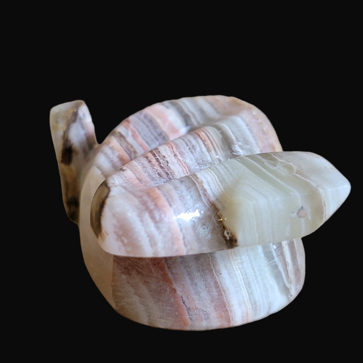 Coiled and Striking Onyx Snake Zuni Fetish