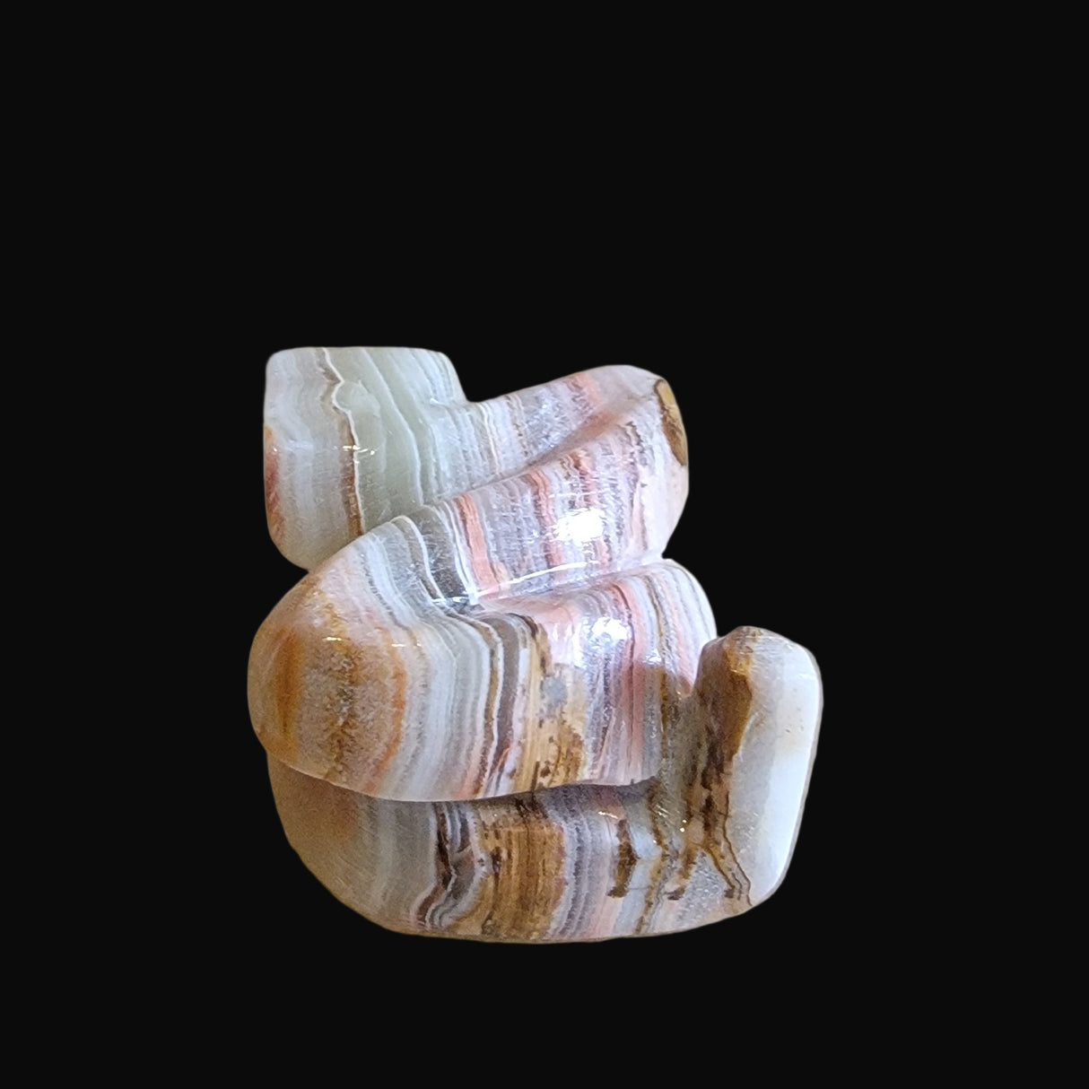 Coiled and Striking Onyx Snake Zuni Fetish