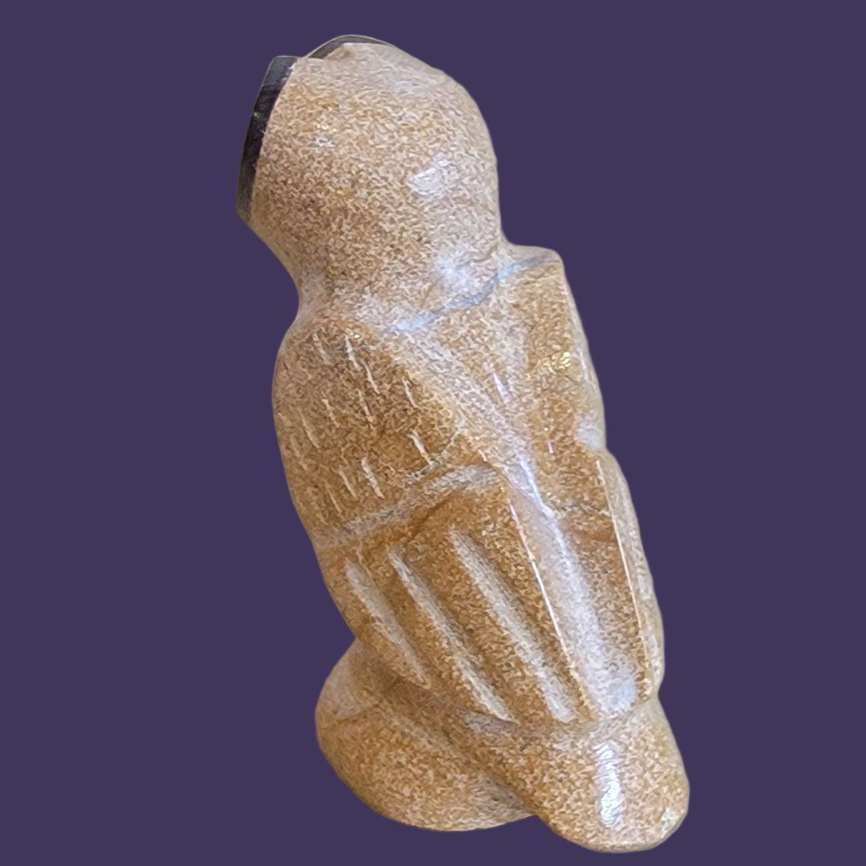 Travertine Owl "Can See What Others Cannot See" Zuni Fetish