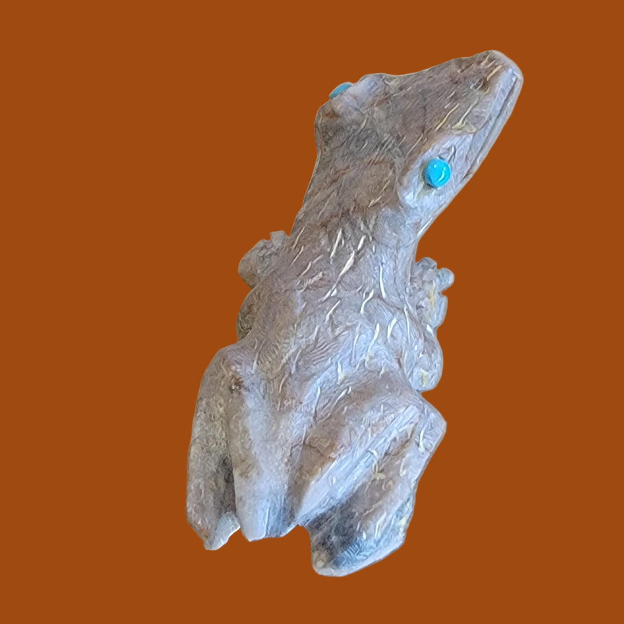 Eye of Toad is Turquoise! Zuni Fetish