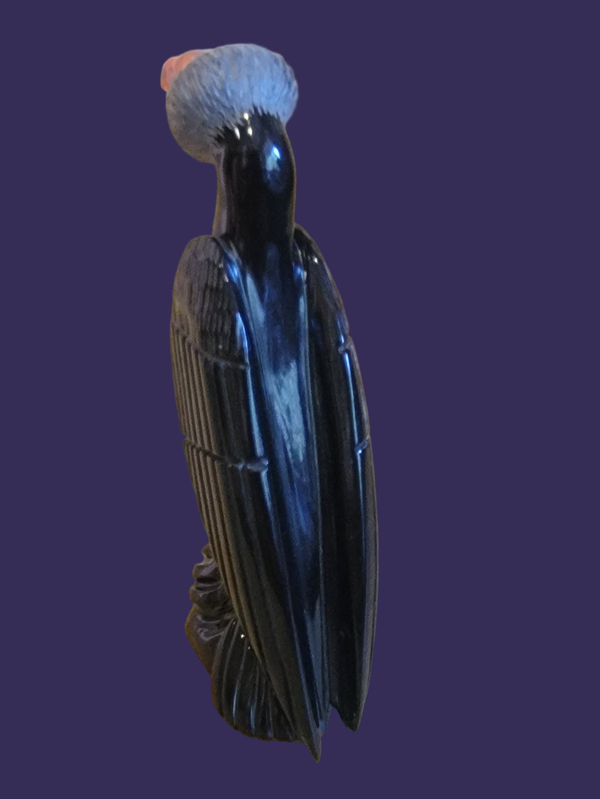 Amazing and Salivating Vulture Zuni Fetish