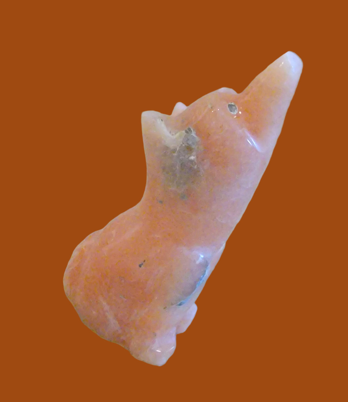 Howling in the Night Alabaster Coyote Zuni Fetish