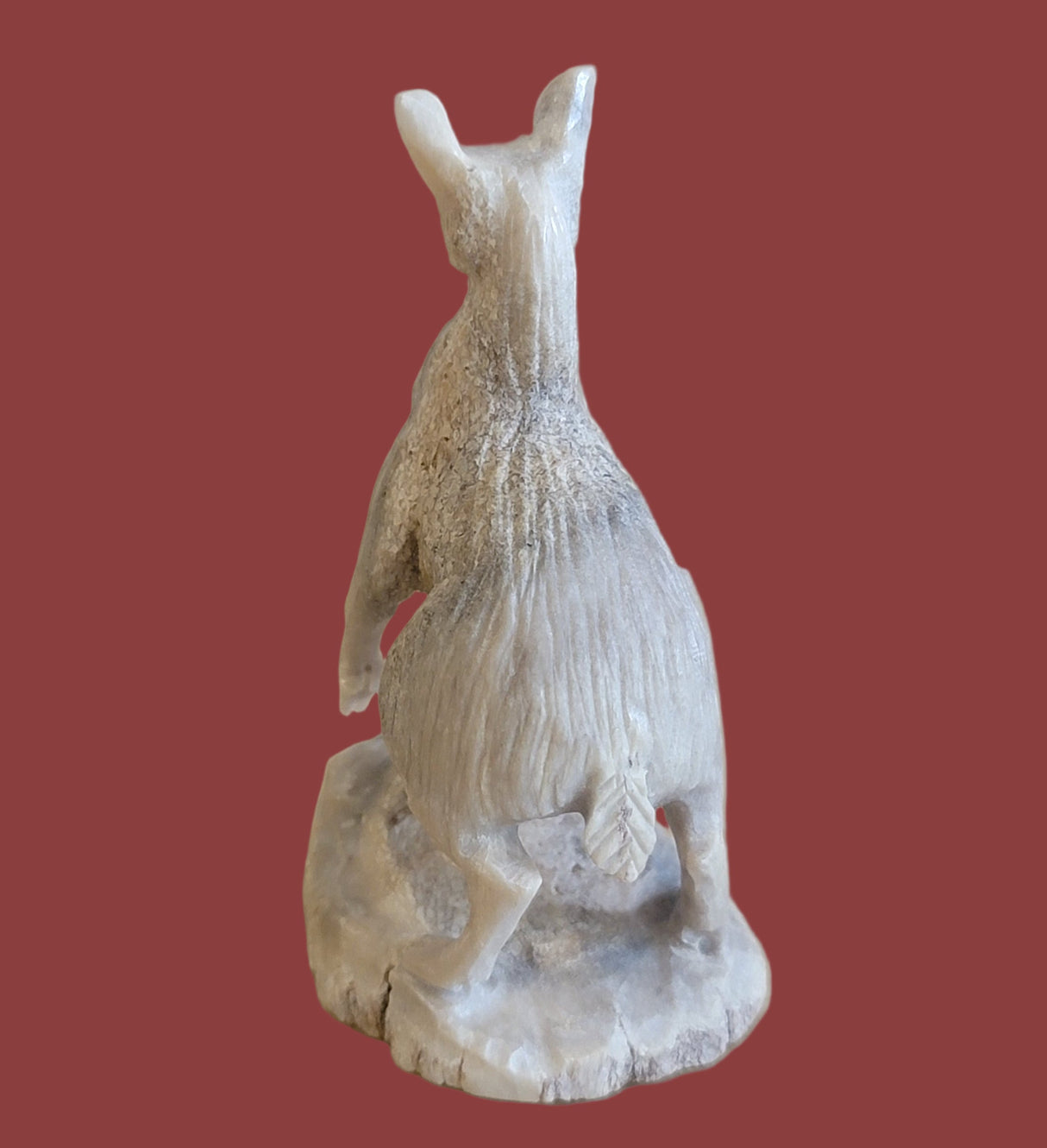 Poised and Dainty Antler Winter Doe Zuni Fetish