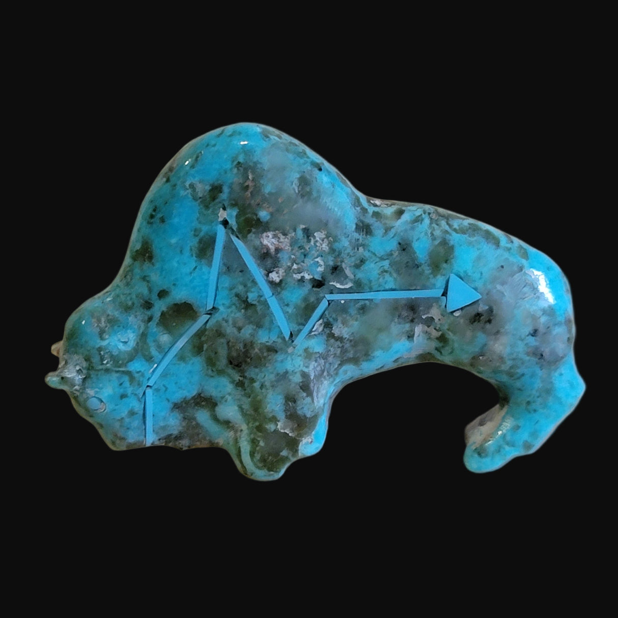 Elegant Turquoise Bison/Buffalo w/ Heartline Zuni Fetish