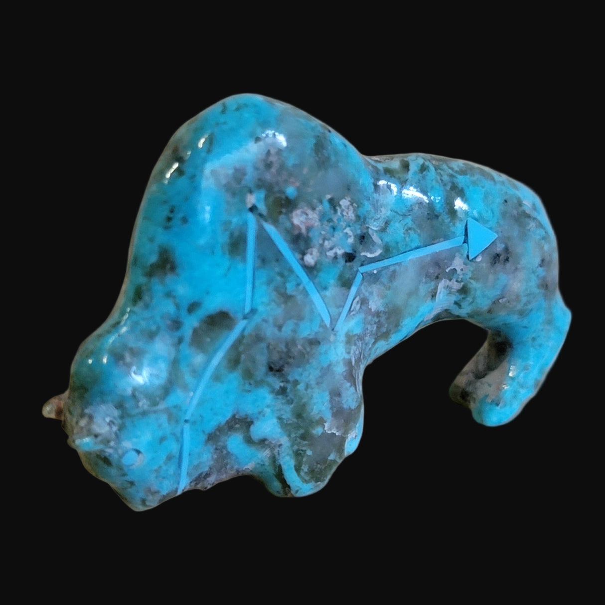 Elegant Turquoise Bison/Buffalo w/ Heartline Zuni Fetish