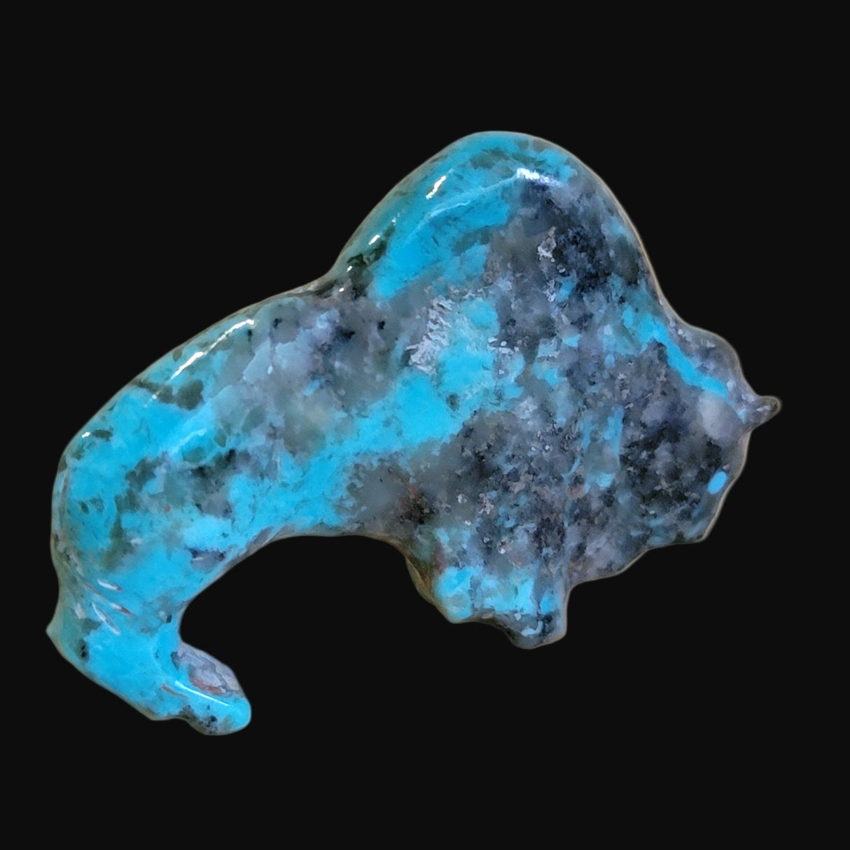 Elegant Turquoise Bison/Buffalo w/ Heartline Zuni Fetish