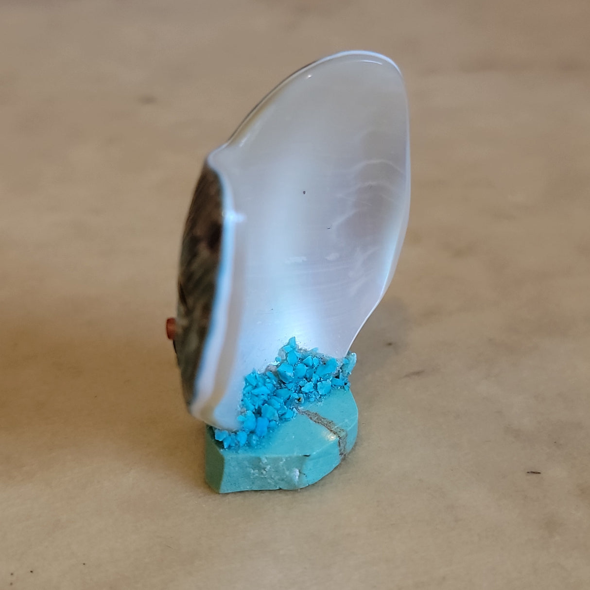 Double Snail Shell Zuni Fetish Corn Maidens