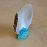 Double Snail Shell Zuni Fetish Corn Maidens