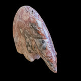 Long Necked and Colorful Jasper Zuni Fetish Medicine Bear