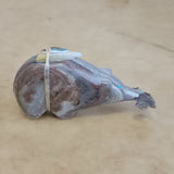 Picasso Marble Bear w/Fish Zuni Fetish