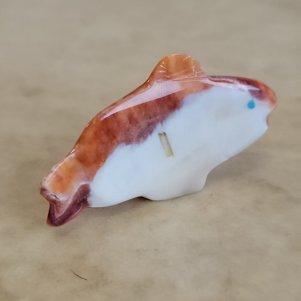 Orange Spiny Oyster Shell Fish Zuni Fetish